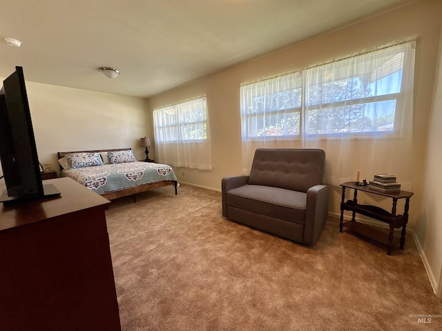 600 N 9th E, Mountain Home, ID 83647 - bedroom featuring carpet and baseboards