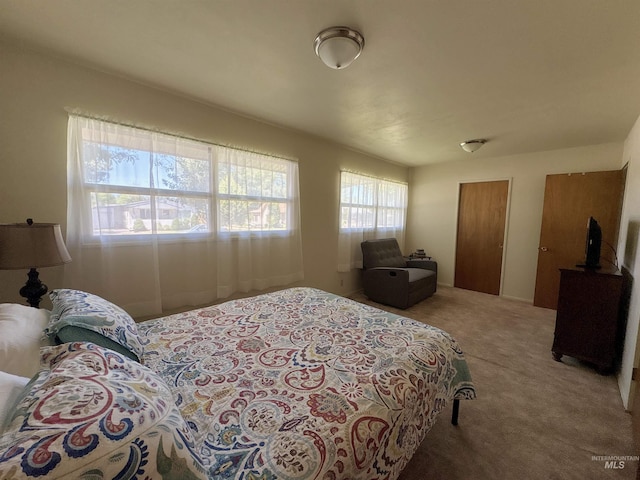 600 N 9th E, Mountain Home, ID 83647 - view of carpeted bedroom