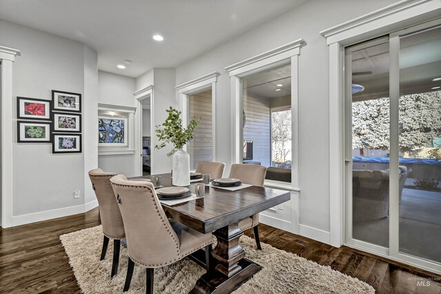 dining room featuring dark hardwood / wood-style flooring