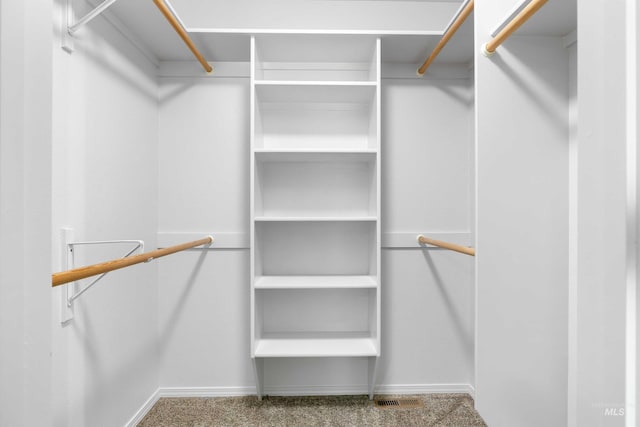 1590 Saddler St, Twin Falls, ID 83301 - view of spacious closet