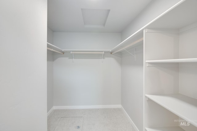 walk in closet with carpet floors