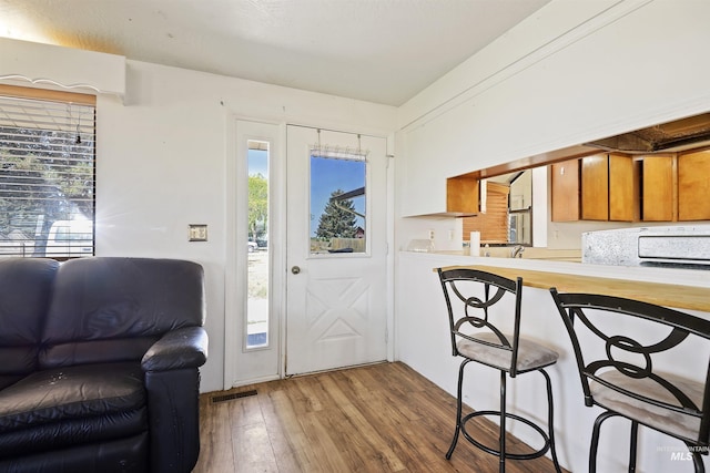 interior space featuring plenty of natural light and light hardwood / wood-style floors