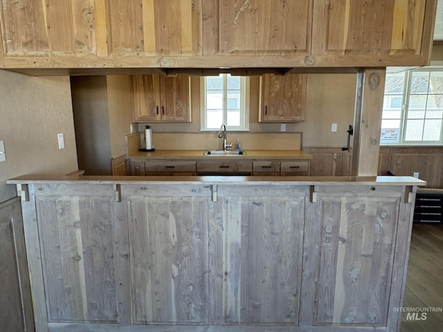 kitchen featuring light countertops, wood finished floors, and a sink