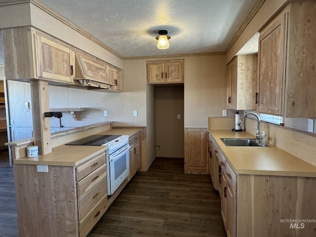 kitchen with a sink, dark wood-type flooring, electric stove, and light countertops