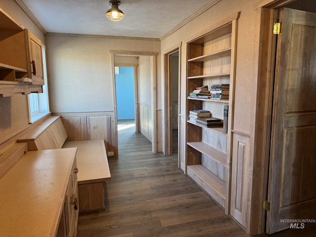 hallway featuring dark wood-style floors, built in shelves, a wainscoted wall, crown molding, and a textured ceiling