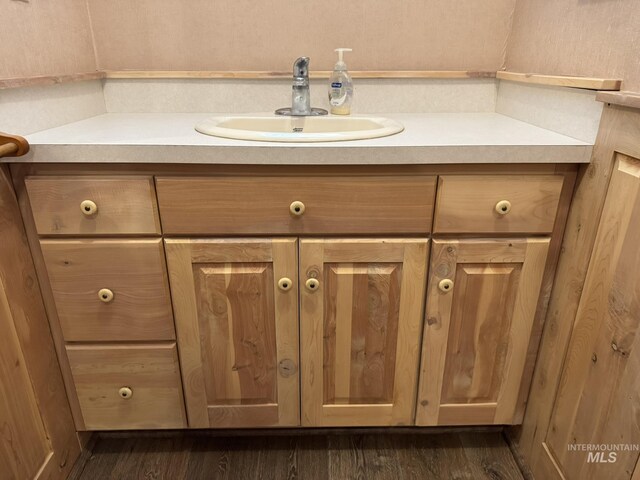 bathroom with wood finished floors and vanity