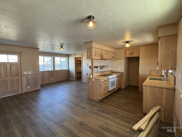 kitchen featuring dark wood finished floors, white electric stove, light countertops, ornamental molding, and a sink