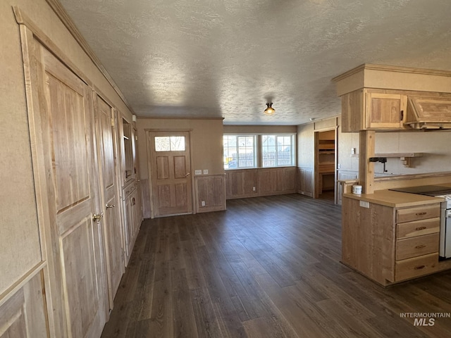 entrance foyer featuring dark wood-style floors, a textured ceiling, and a wainscoted wall