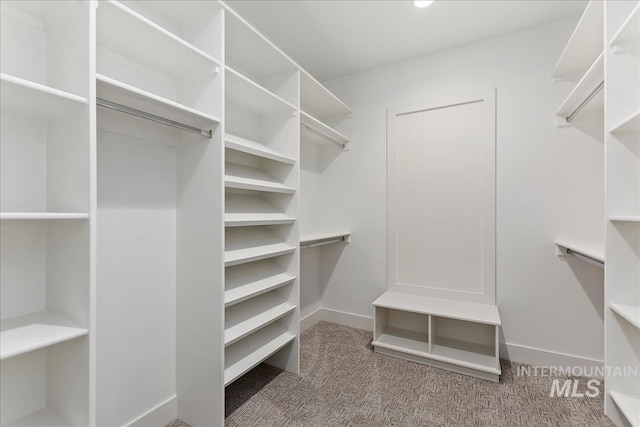 walk in closet featuring carpet