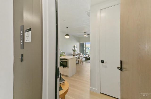 4340 E Haystack St Unit 205, Boise, ID 83716 - hallway with light wood-type flooring