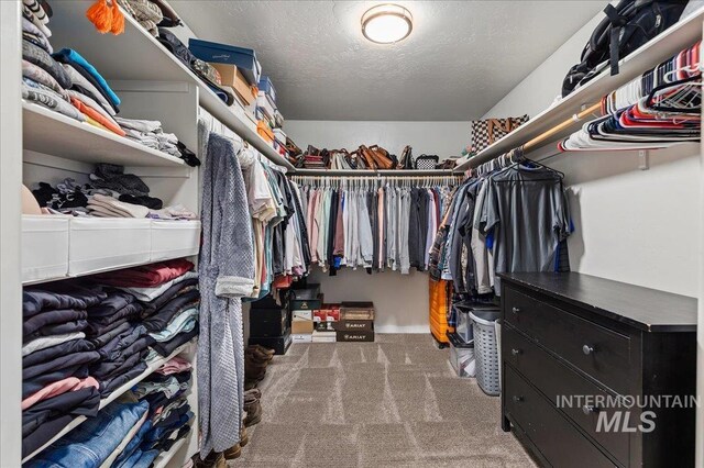 spacious closet with carpet flooring