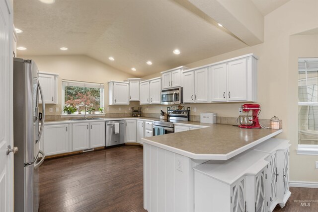 2493 S Skyview Dr, Nampa, ID 83686 - kitchen with stainless steel appliances, a peninsula, vaulted ceiling, dark wood-style floors, and light countertops
