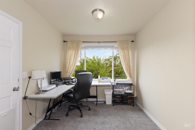 2493 S Skyview Dr, Nampa, ID 83686 - carpeted office space featuring baseboards