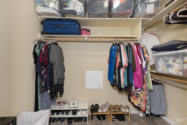 2493 S Skyview Dr, Nampa, ID 83686 - spacious closet with carpet