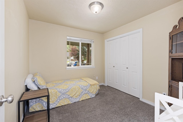 2493 S Skyview Dr, Nampa, ID 83686 - bedroom with carpet and a closet