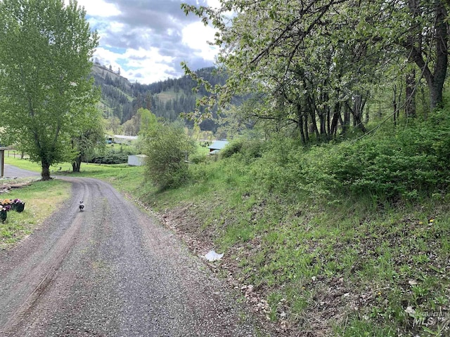 120 Three Bear Ln, Stites, ID 83552 - view of dirt / gravel road with a wooded view