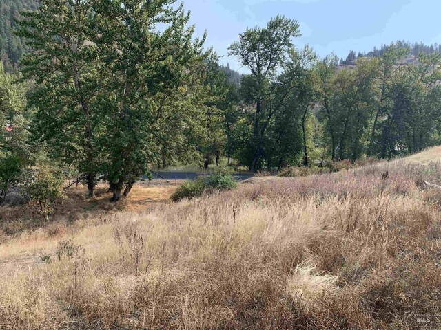120 Three Bear Ln, Stites, ID 83552 - view of woods