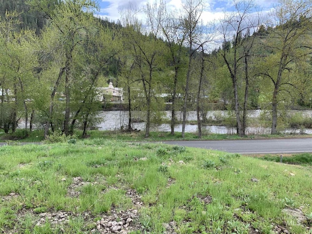 120 Three Bear Ln, Stites, ID 83552 - view of yard with a view of trees and a water view