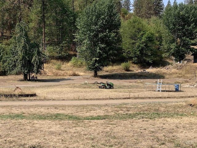 120 Three Bear Ln, Stites, ID 83552 - view of yard with a rural view