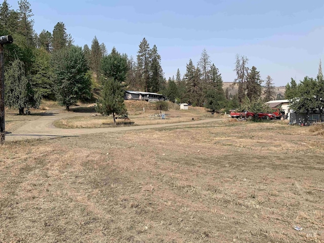 120 Three Bear Ln, Stites, ID 83552 - view of yard