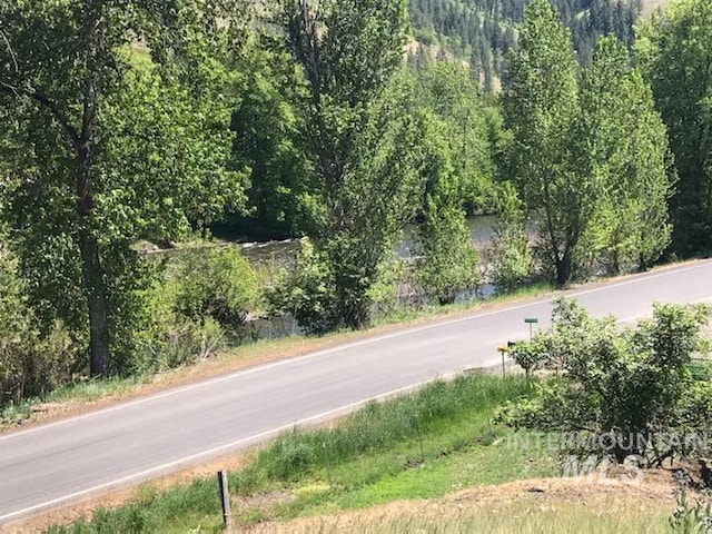 120 Three Bear Ln, Stites, ID 83552 - view of asphalt road