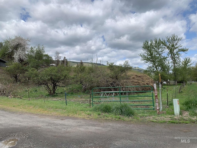 120 Three Bear Ln, Stites, ID 83552 - view of street with a gate