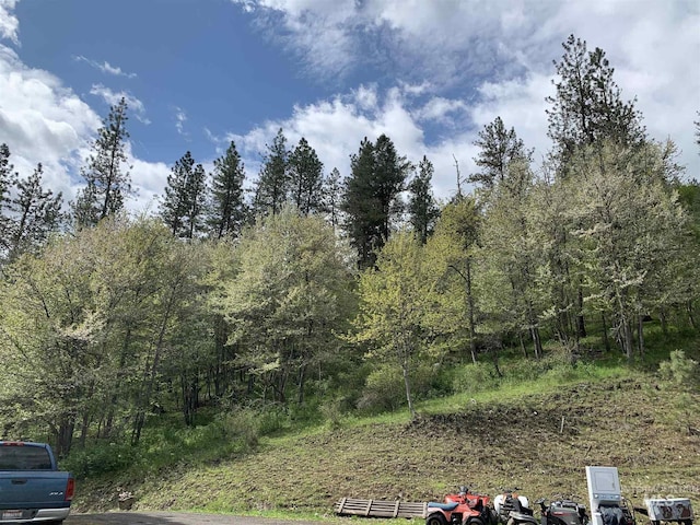 120 Three Bear Ln, Stites, ID 83552 - view of yard featuring a wooded view