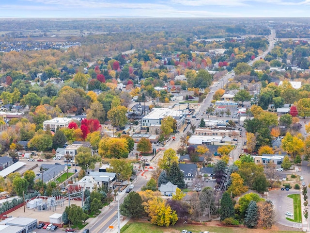 bird's eye view