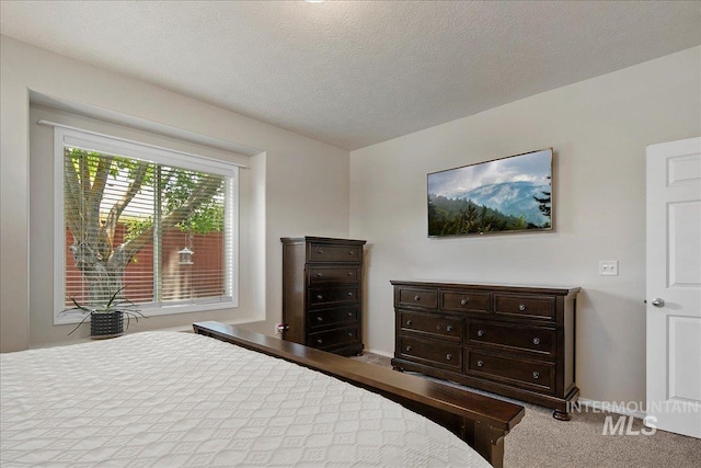 9425 W Java Ct, Boise, ID 83704 - view of carpeted bedroom