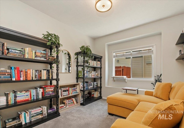 9425 W Java Ct, Boise, ID 83704 - carpeted living room with baseboards