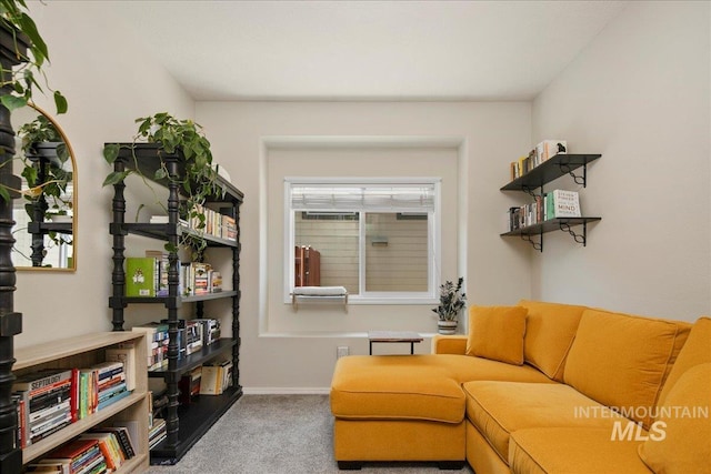 9425 W Java Ct, Boise, ID 83704 - living area with carpet floors and baseboards