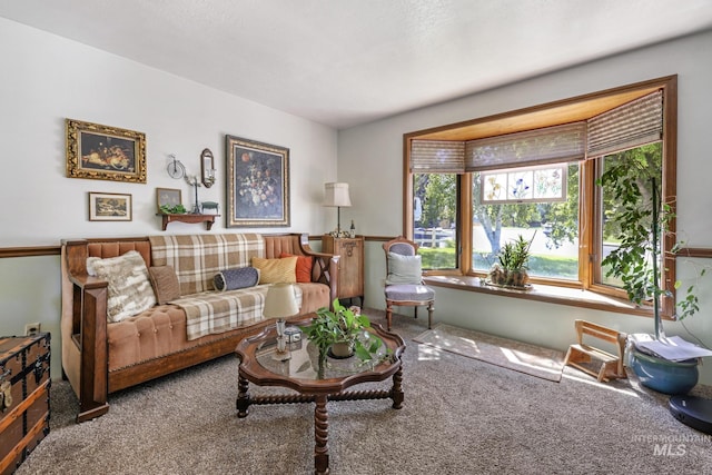 living room with carpet