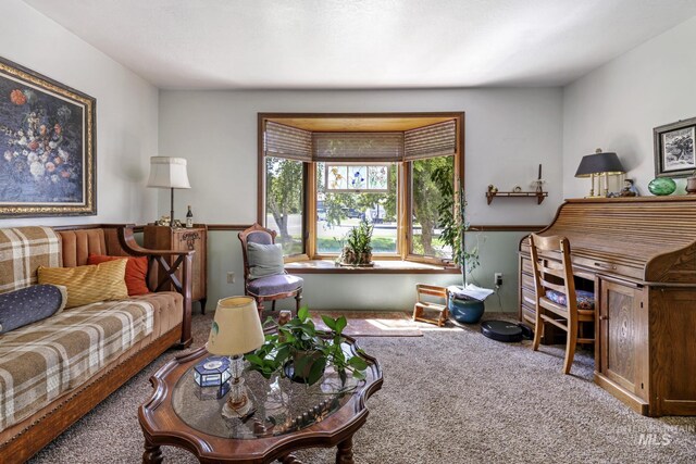 view of carpeted living area