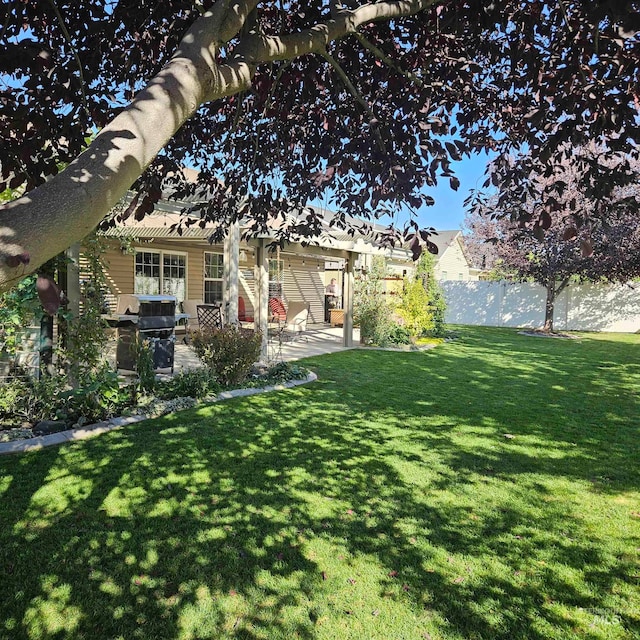 view of yard with a patio area