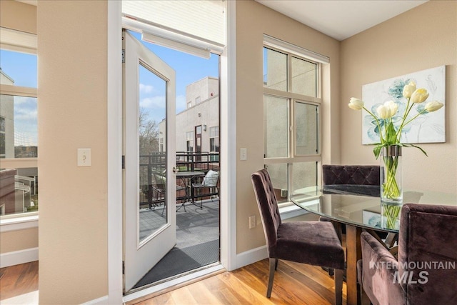 interior space featuring a wealth of natural light, baseboards, and wood finished floors