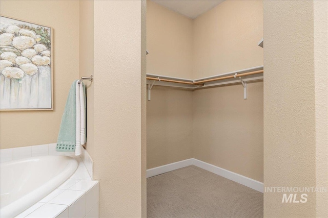 spacious closet featuring carpet floors