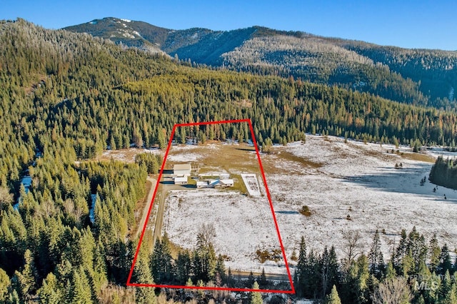 828 W Fork Eagle Creek Rd, Wallace, ID 83873 - view from above of property featuring a heavily wooded area and property parcel outlined
