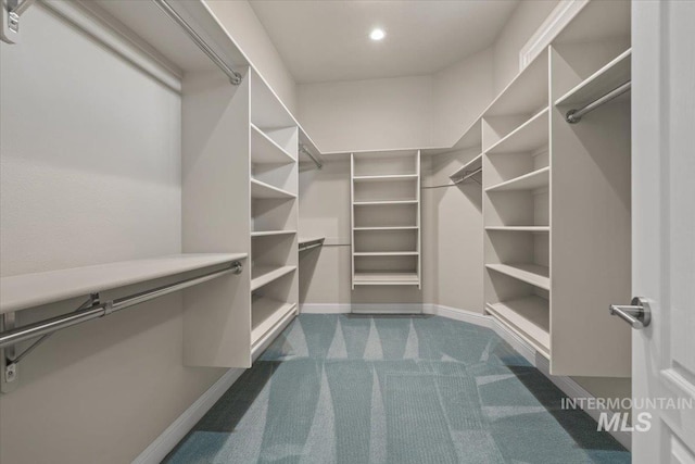 walk in closet with dark colored carpet