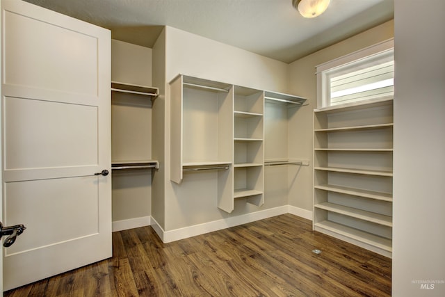 spacious closet with dark hardwood / wood-style flooring