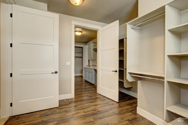 spacious closet featuring dark wood-type flooring