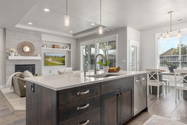 kitchen with stainless steel dishwasher, a tray ceiling, dark brown cabinets, and a sink