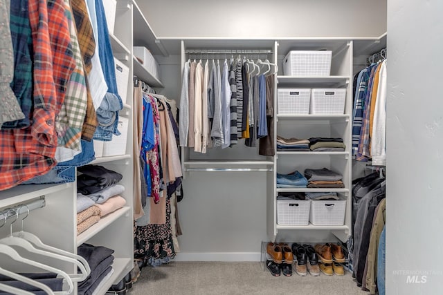 walk in closet featuring carpet flooring