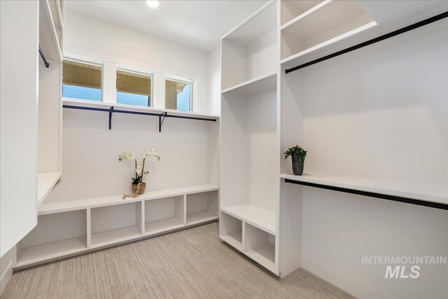 505 Stonehedge Loop, Twin Falls, ID 83301 - walk in closet with light carpet