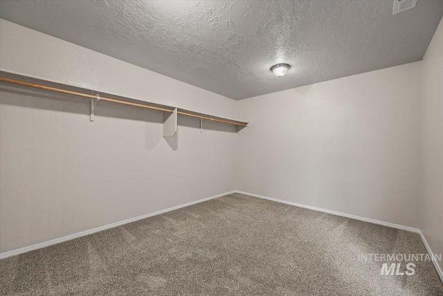 spacious closet with carpet flooring