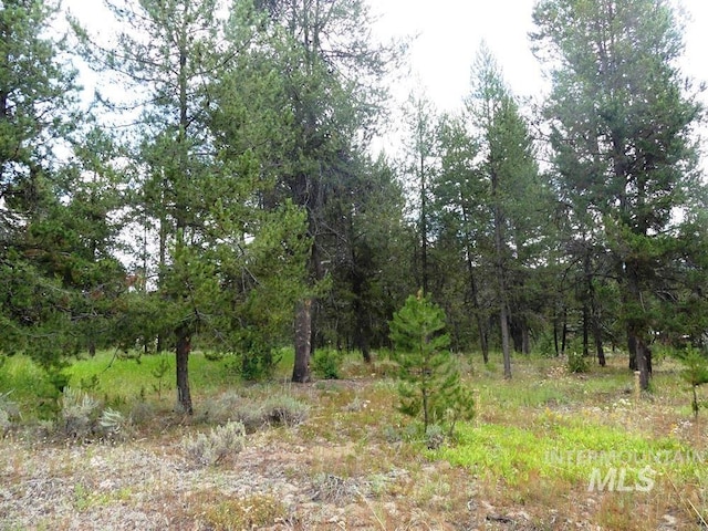 430 Wilhelm Creek Ct, Mccall, ID 83638