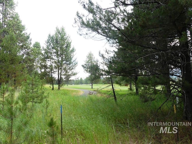 430 Wilhelm Creek Ct, Mccall, ID 83638
