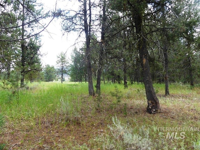 430 Wilhelm Creek Ct, Mccall, ID 83638