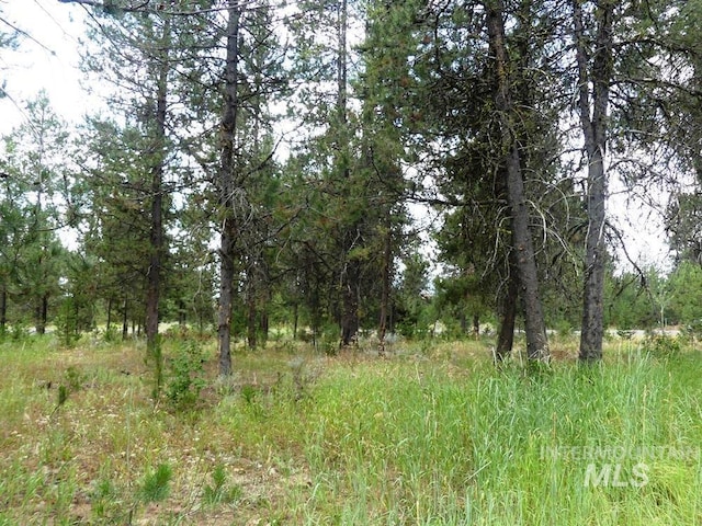 430 Wilhelm Creek Ct, Mccall, ID 83638