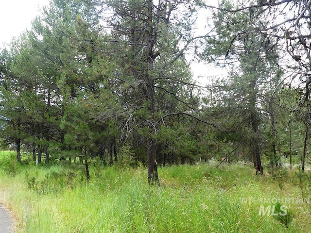 430 Wilhelm Creek Ct, Mccall, ID 83638