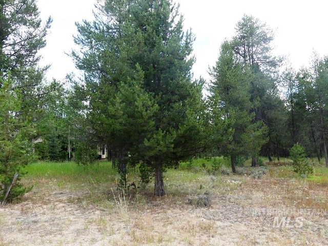 430 Wilhelm Creek Ct, Mccall, ID 83638